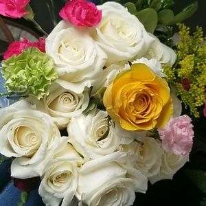 Meet your Posher, Maria